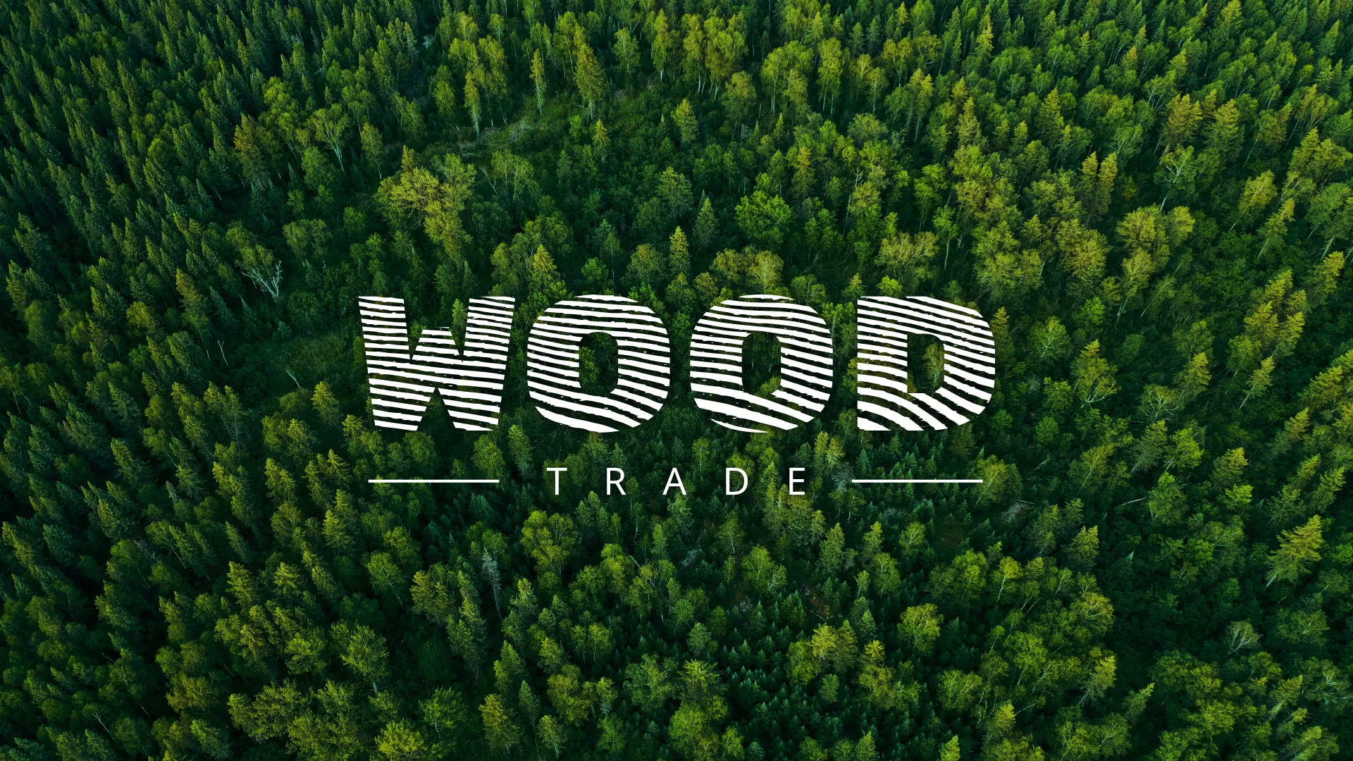 Разработка интернет-магазина компании «Wood Trade» в Коряжме